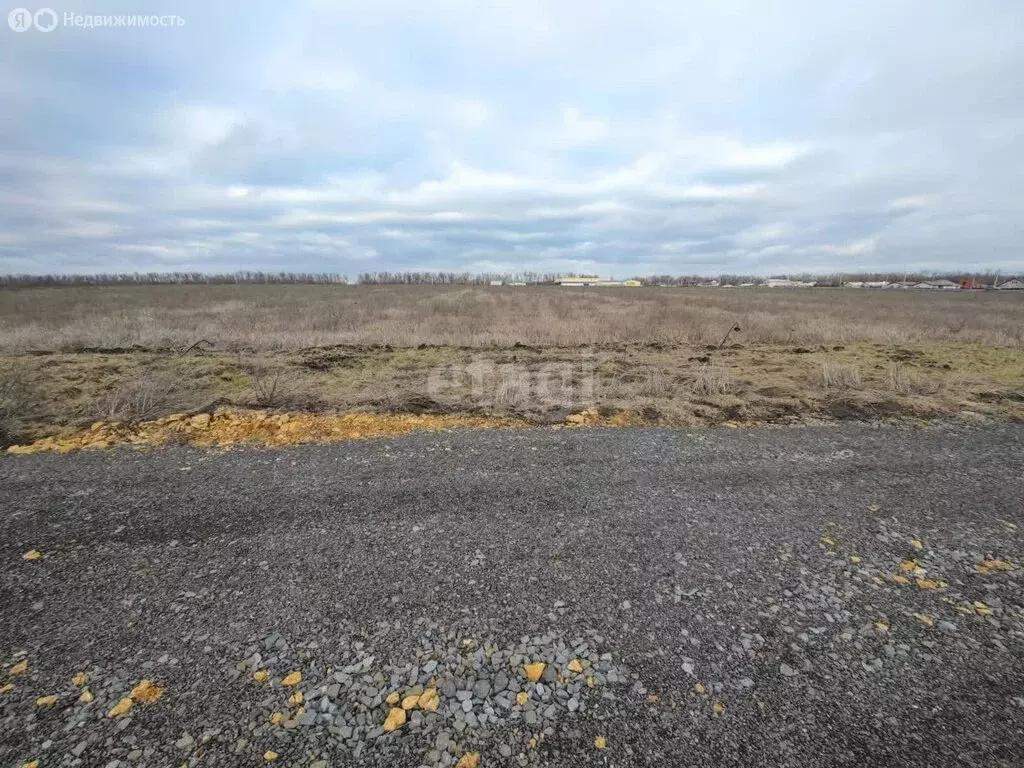 Участок в Азовский район, Самарское сельское поселение, садоводческое ... - Фото 1