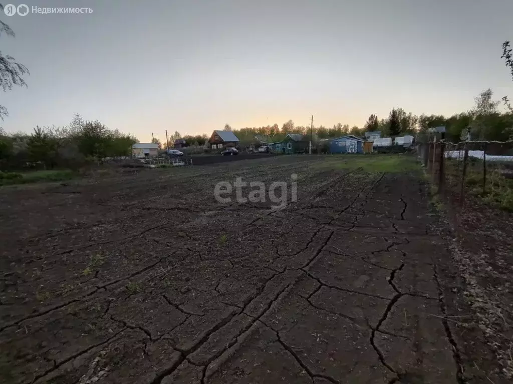 Участок в Павловский район, садовое некоммерческое товарищество Ясное ... - Фото 0