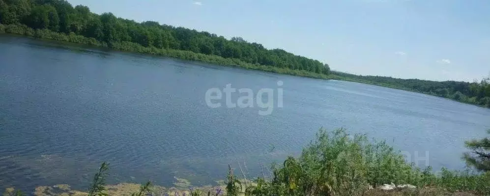Участок в Башкортостан, Уфимский район, Красноярский сельсовет, с. ... - Фото 0