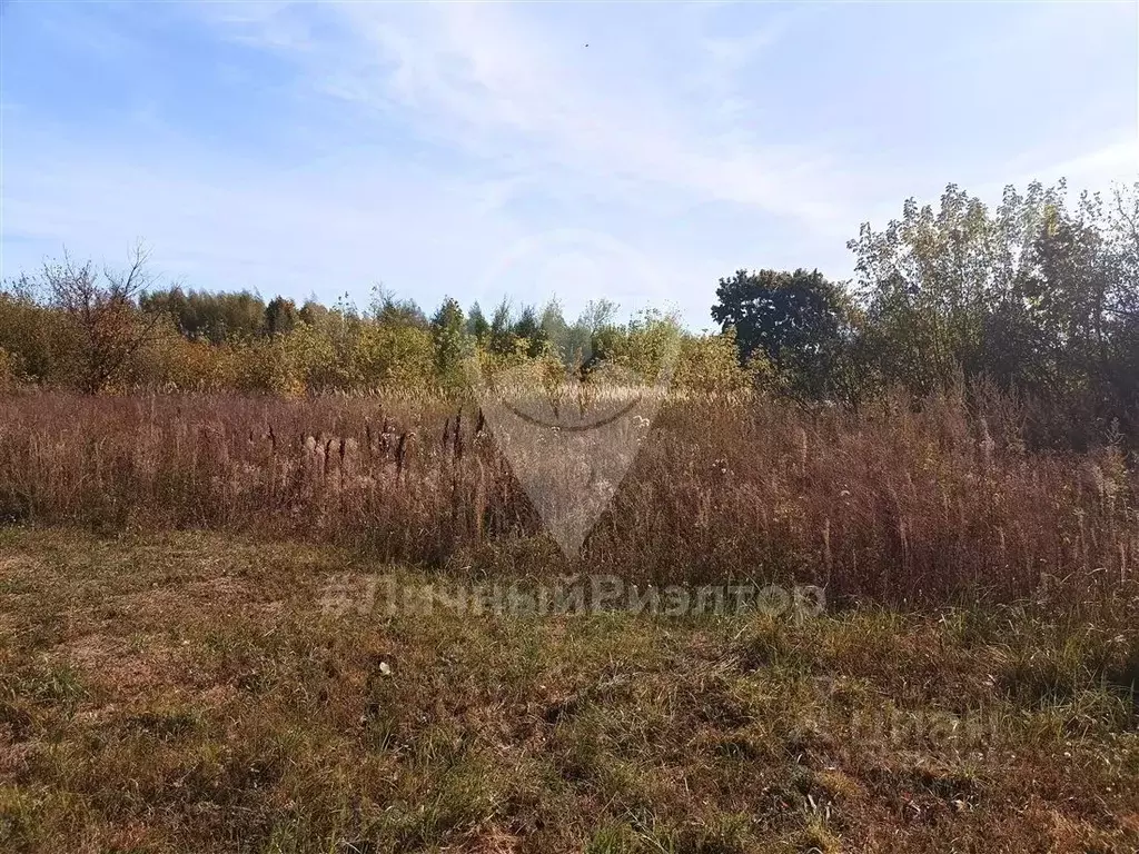 Участок в Рязанская область, Скопин городской округ, д. Ивановка ул. ... - Фото 1