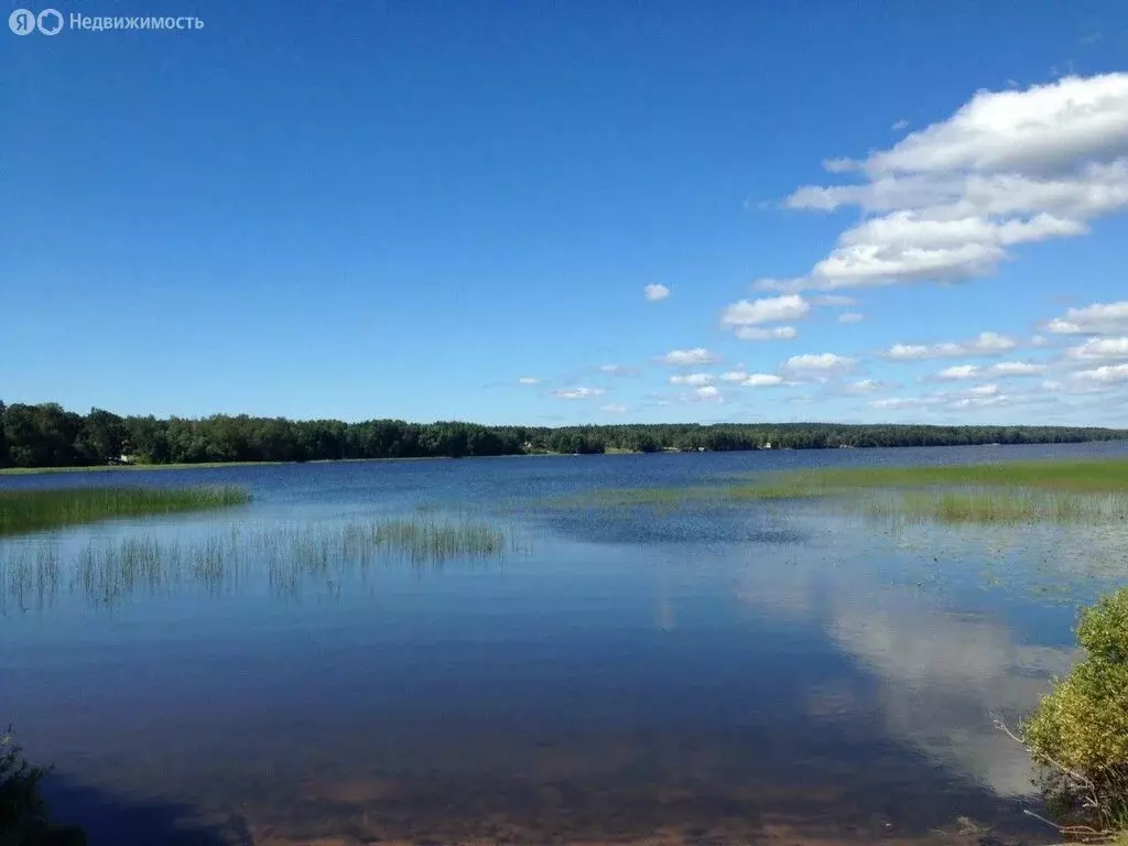 Дом в Выборгский район, Полянское сельское поселение, посёлок ... - Фото 1