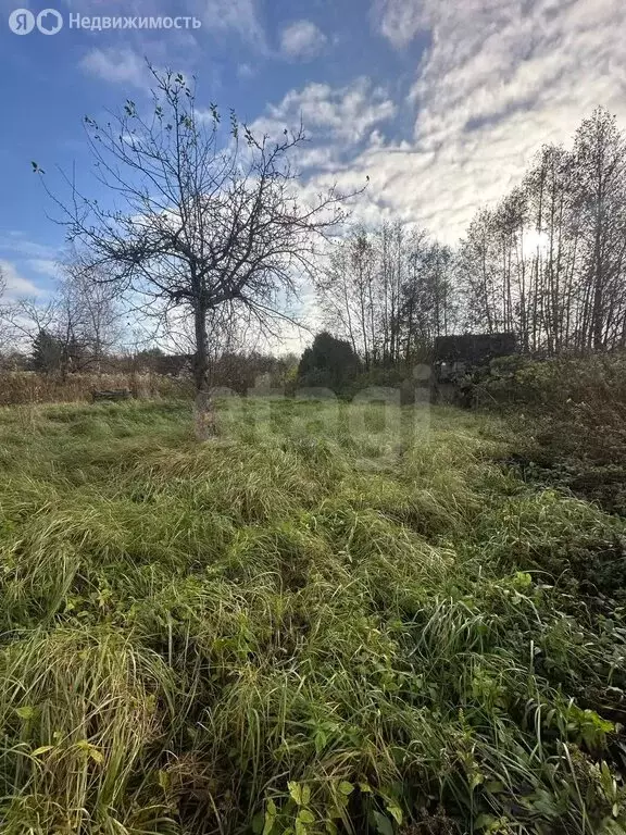 Участок в Калининградская область, Гвардейский муниципальный округ, ... - Фото 2