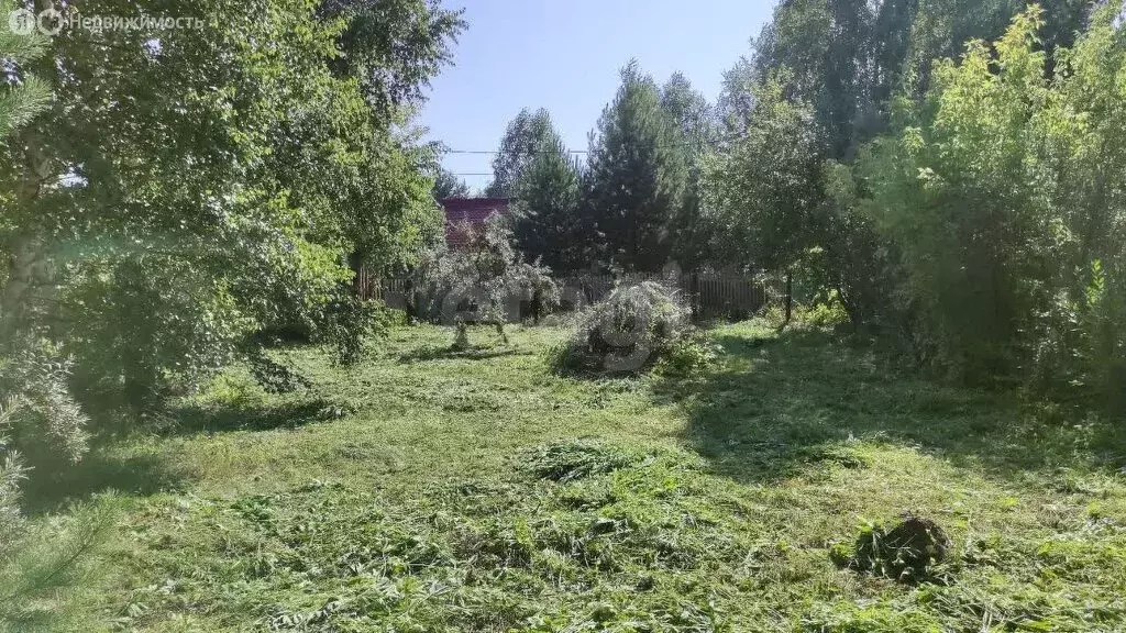 Участок в Новосибирск, СПК Сибирский Авиатор (4.75 м) - Фото 0