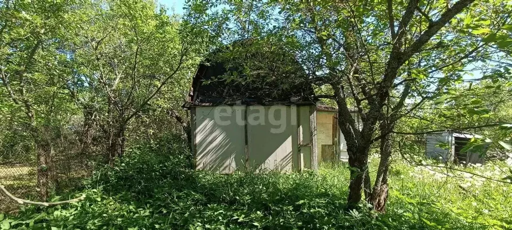 Дом в Смоленская область, Смоленск Автомобилист садоводческое ... - Фото 1