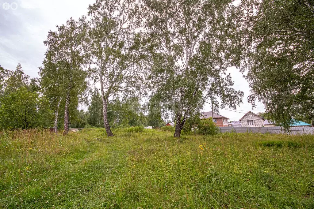 Участок в Новосибирский район, Каменский сельсовет, село Каменка (10 ... - Фото 0