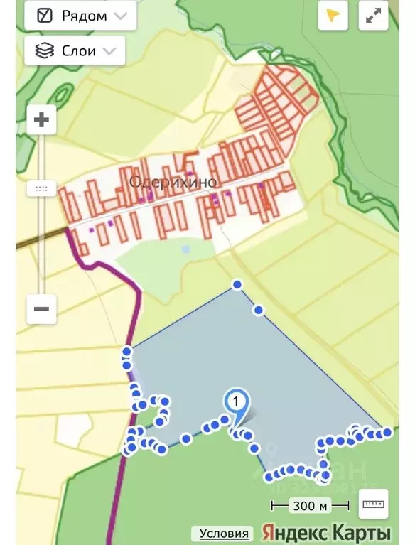 Участок в Ярославская область, Переславль-Залесский муниципальный ... - Фото 2