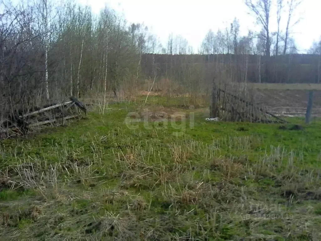 Участок в Нижегородская область, Чкаловск муниципальный округ, д. ... - Фото 1