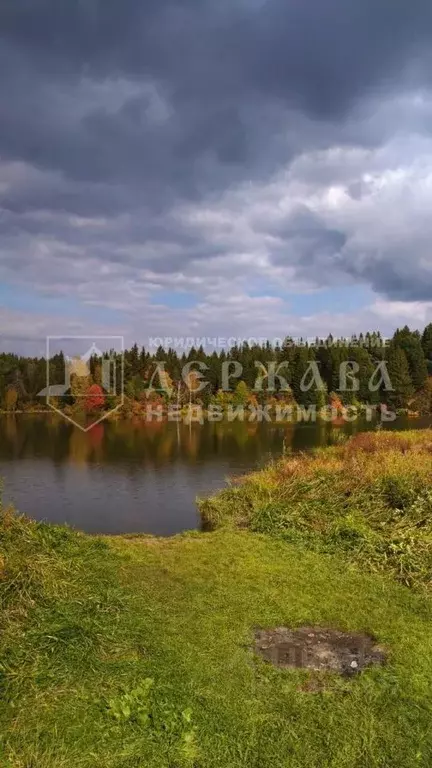 Дом в Кемеровская область, Кемеровский район, с. Андреевка ул. Луговая ... - Фото 1