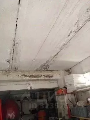 Помещение свободного назначения в Ульяновская область, Ульяновск ... - Фото 2