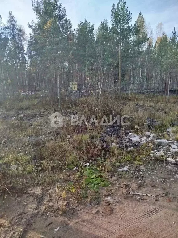 Участок в Ленинградская область, Всеволожское городское поселение, ... - Фото 1
