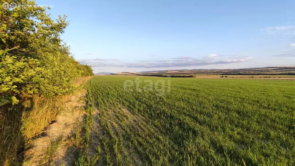 Участок в Приозерский район, посёлок Мичуринское (383 м) - Фото 2