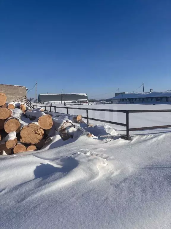 Склад в Тюменская область, с. Юргинское ул. Новая, 4 (500 м) - Фото 1