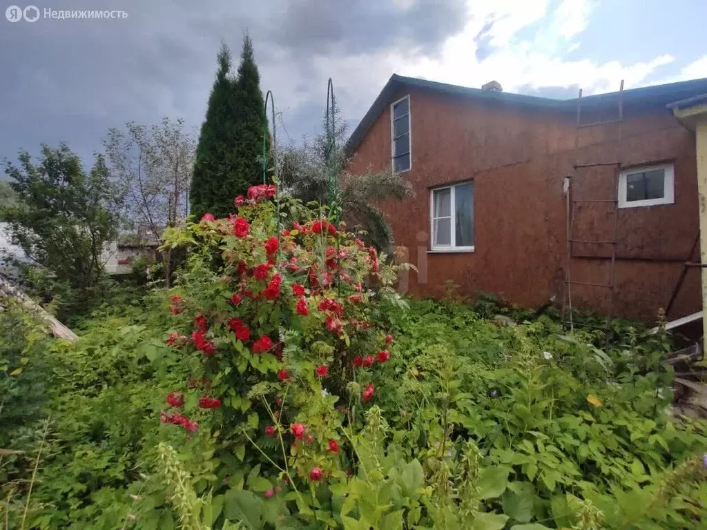 Дом в Порхов, улица Веры Еровой (52.5 м) - Фото 1