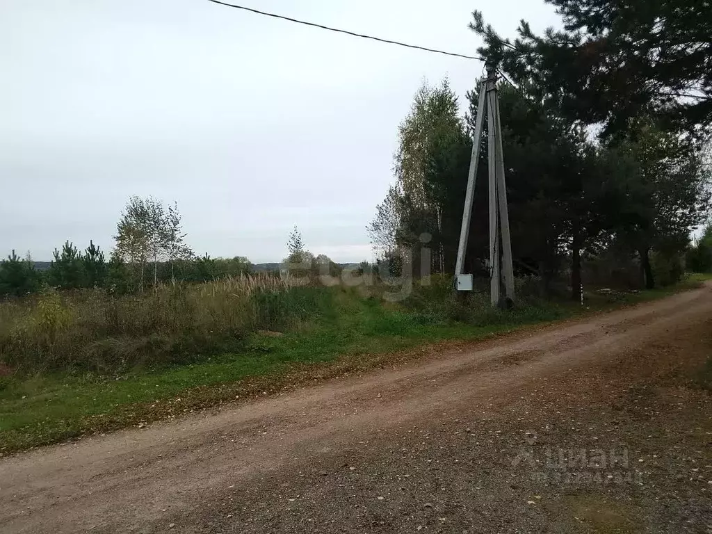 Участок в Калужская область, Дзержинский район, Дворцы с/пос, д. ... - Фото 2