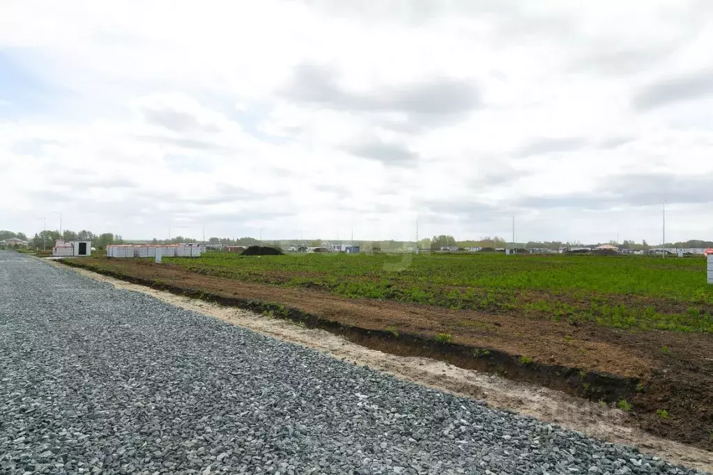 Участок в Тюменская область, Тюменский муниципальный округ, Онегин кп  ... - Фото 1