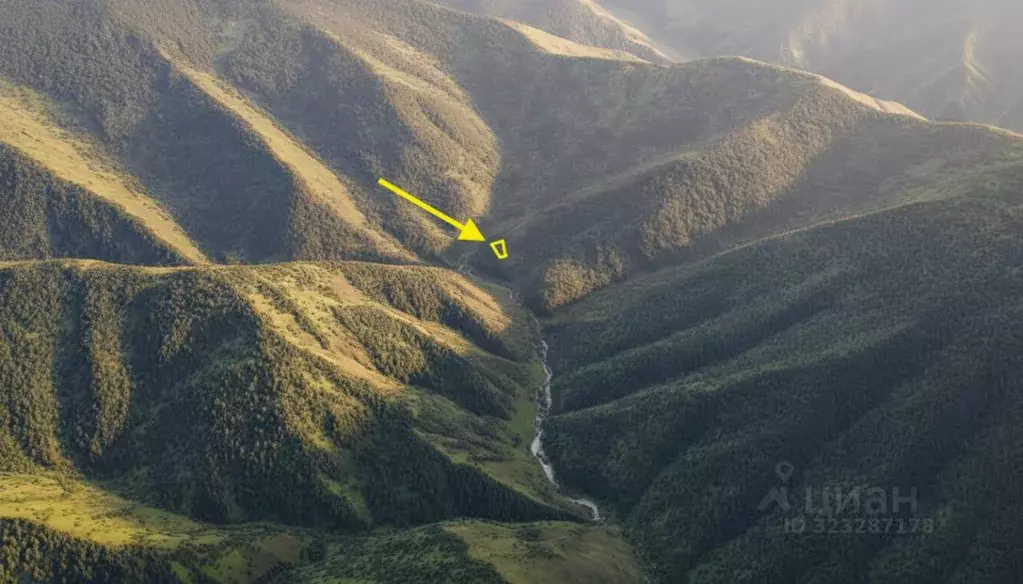 Участок в Алтай, Чемальский район, Куюсское с/пос  (11.82 сот.) - Фото 2