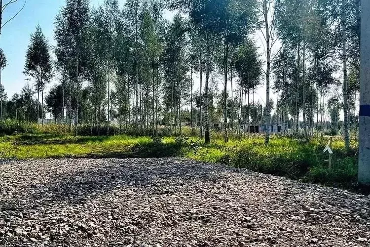 Участок в Московская область, Пушкинский городской округ, д. ... - Фото 0