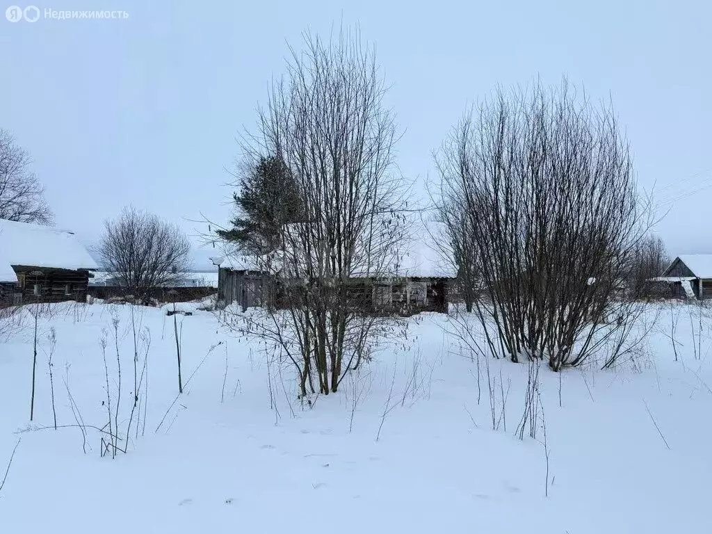 Дом в Пудожский район, Авдеевское сельское поселение, деревня ... - Фото 2
