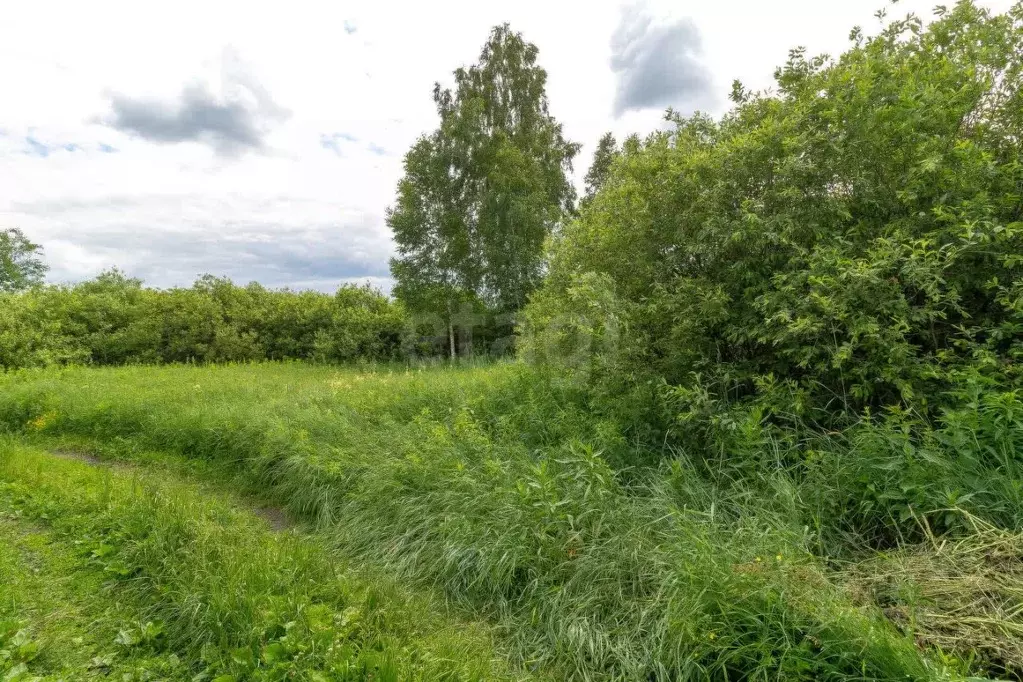 Участок в Тюменская область, Нижнетавдинский муниципальный округ, ... - Фото 1