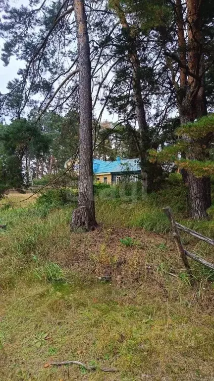 Участок в Тамбовская область, Сосновский муниципальный округ, ... - Фото 1