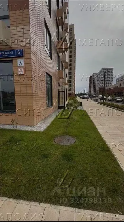 Торговая площадь в Московская область, Одинцово ул. Березовая, 6к2 ... - Фото 1