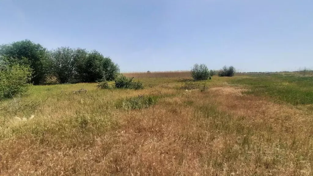 участок в волгоградская область, среднеахтубинский район, фрунзенское . - Фото 1