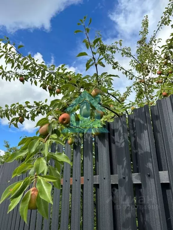 Коттедж в Санкт-Петербург Сергиево тер., ул. Минина, 46 (242 м) - Фото 1