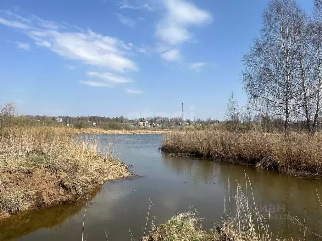 Участок в Ярославская область, Некрасовский муниципальный округ, д. ... - Фото 1