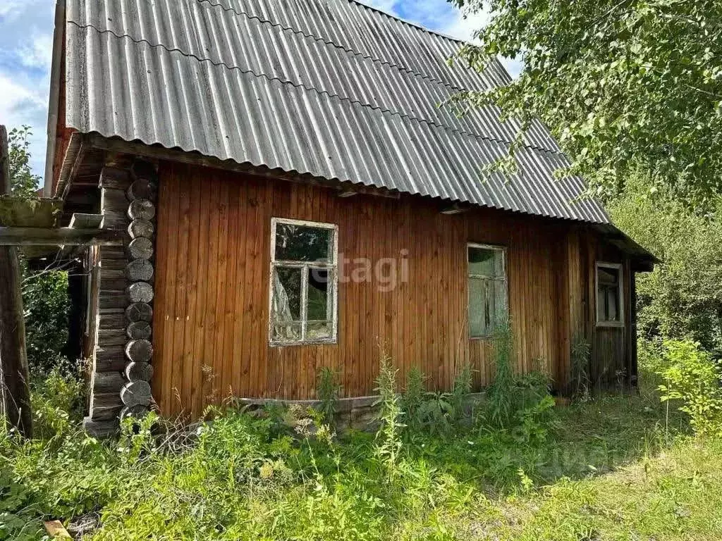 Дом в Тюменская область, Тюмень Дубрава СНТ, ул. 3-я Садовая, 223 (50 ... - Фото 1