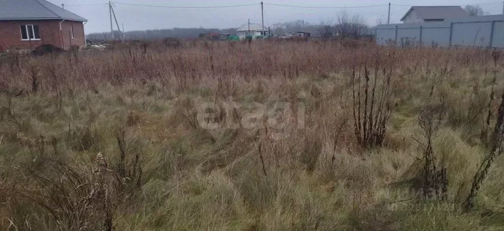 Участок в Курская область, Курский район, Рышковский сельсовет, ... - Фото 1