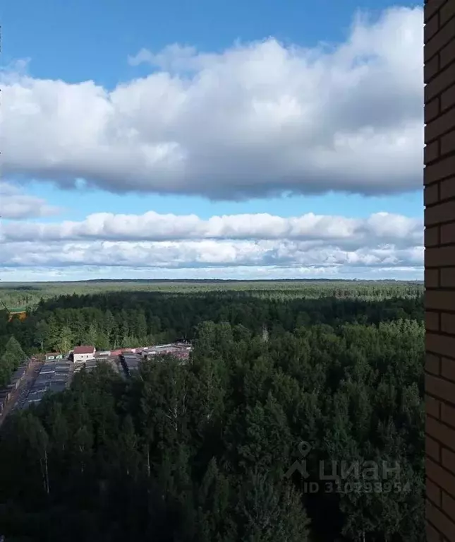 1-к кв. Ленинградская область, Всеволожский район, д. Новое Девяткино ... - Фото 0