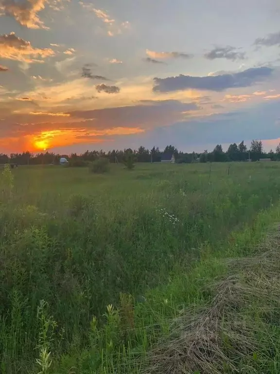 Участок в Московская область, Раменский муниципальный округ, ... - Фото 2