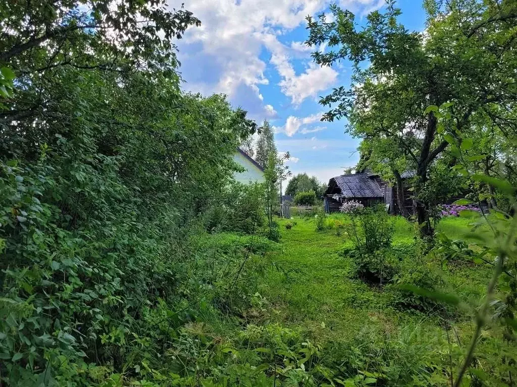 Участок в Ленинградская область, Лужский район, Осьминское с/пос, д. ... - Фото 1