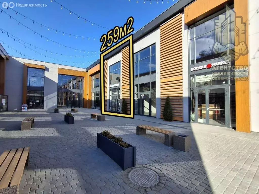 Помещение свободного назначения (249 м) - Фото 2