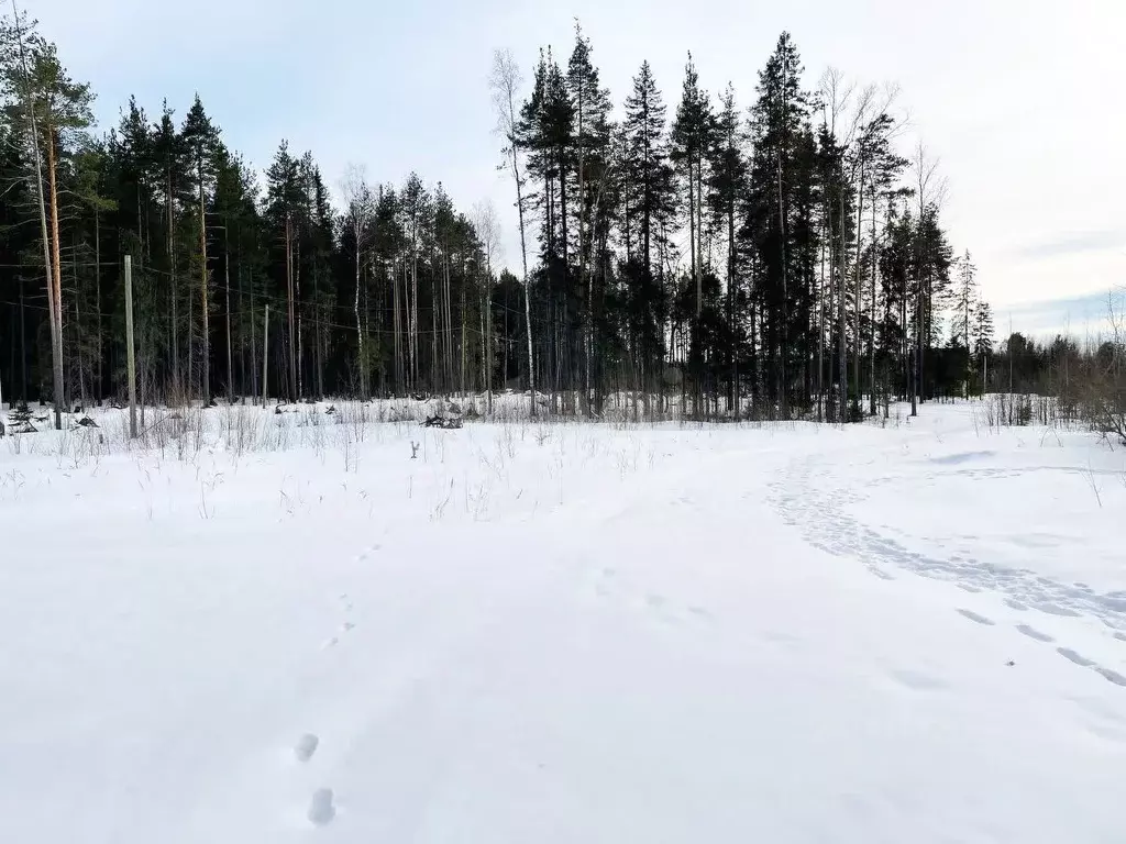 Участок в Коми, Сыктывкар городской округ, Краснозатонский пгт ул. ... - Фото 0