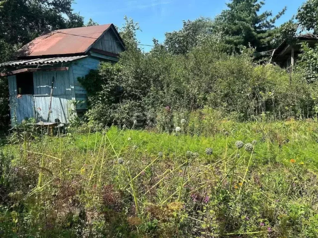 Участок в Хабаровский край, Хабаровск Остон садовое товарищество, 317 ... - Фото 0