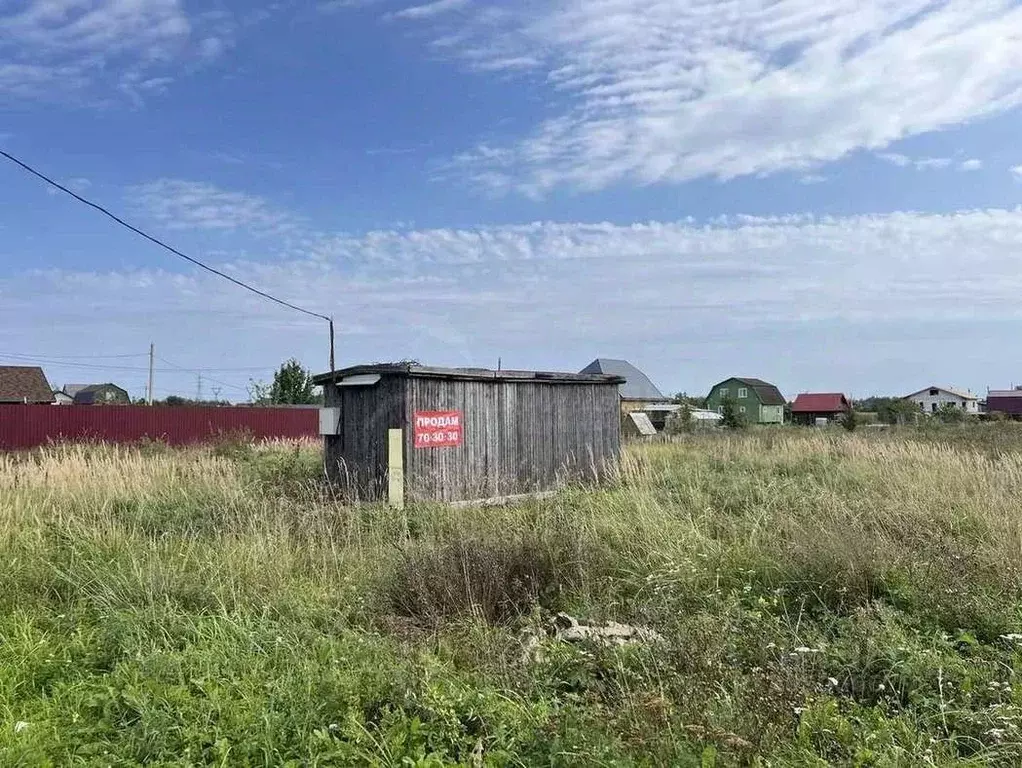 Участок в Новгородская область, Шимское городское поселение, д. Бор ... - Фото 1