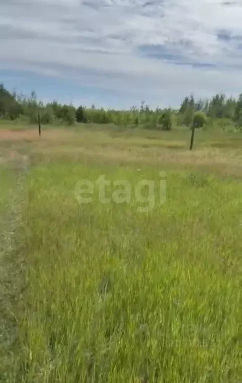Участок в Саха (Якутия), Якутск  (1016.0 сот.) - Фото 0
