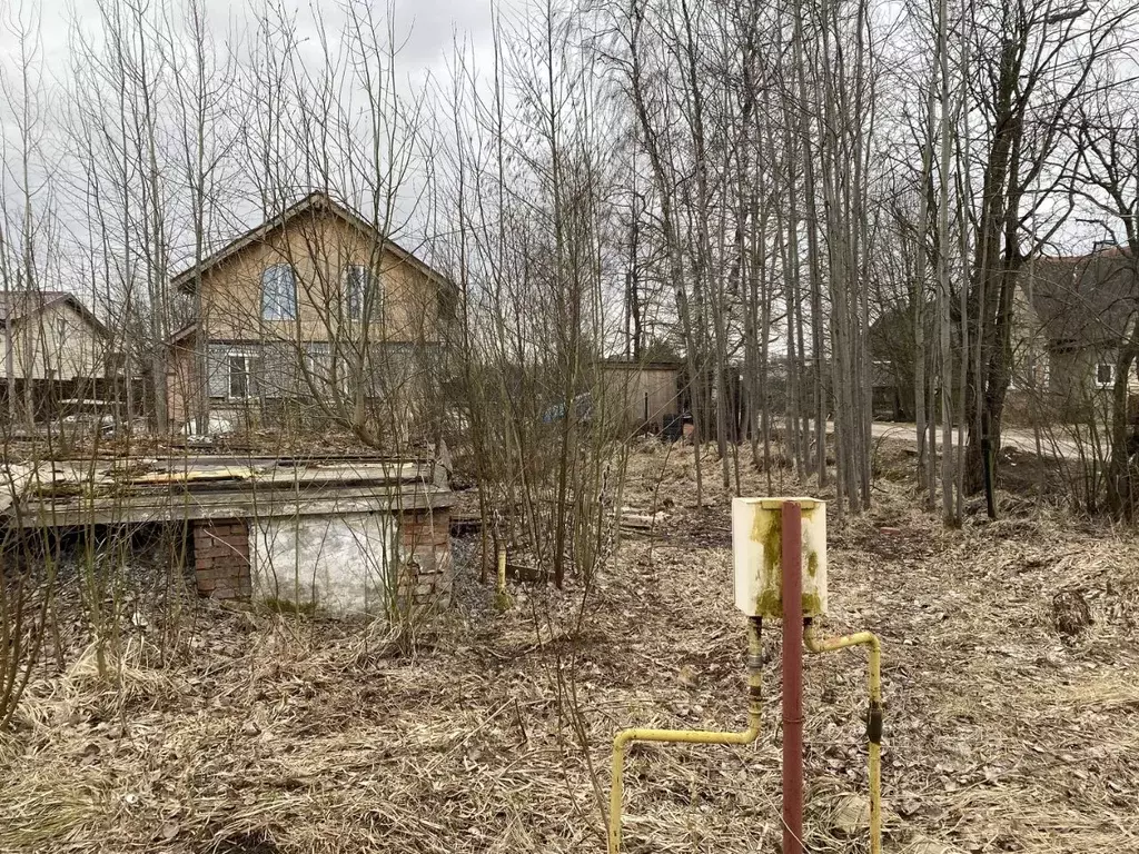 Участок в Санкт-Петербург, Санкт-Петербург, Петергоф ул. Солнечная, ... - Фото 1