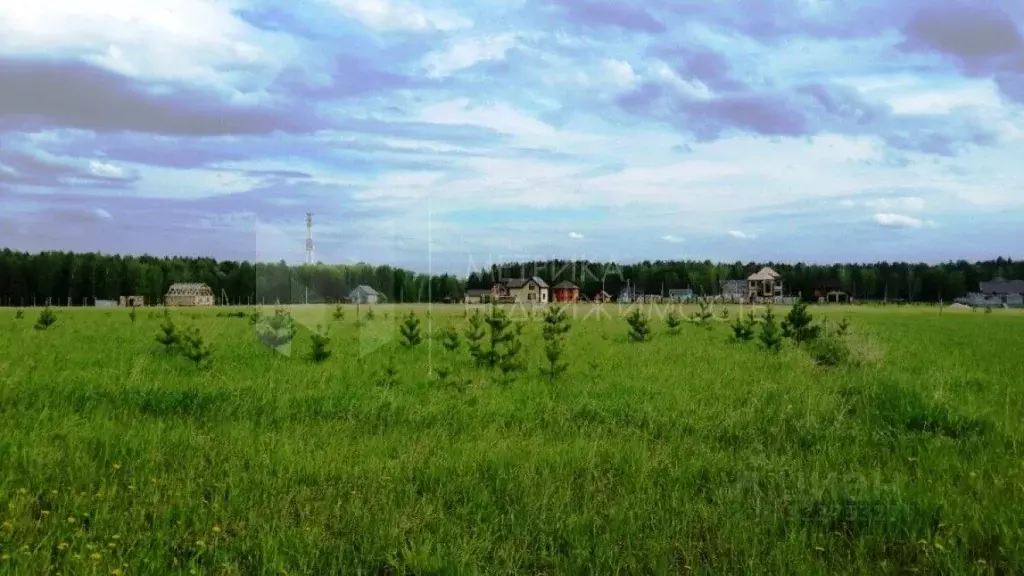 Участок в Тюменская область, Тюменский муниципальный округ, Майское ... - Фото 1