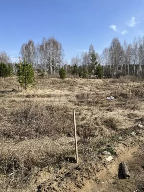 Участок в Тюменская область, Нижнетавдинский район, Геолог-2 СНТ 2-я ... - Фото 0