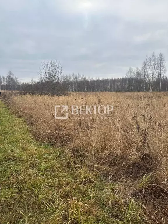 Участок в Костромская область, Костромской район, Бакшеевское с/пос, ... - Фото 1