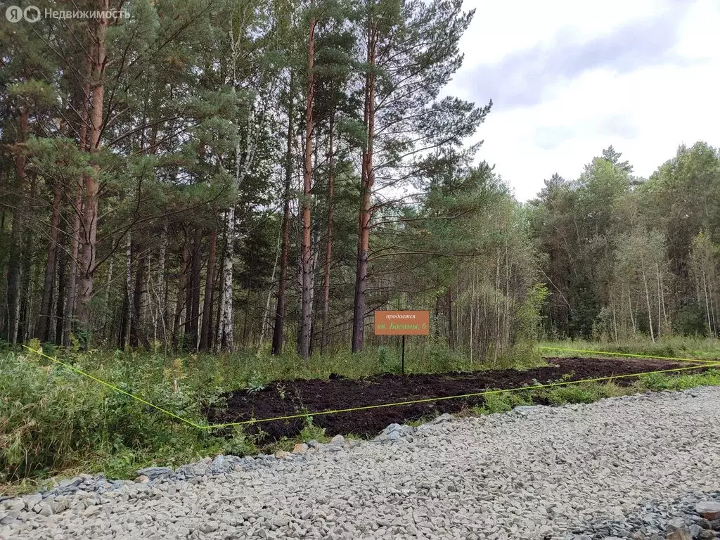 Участок в Свердловская область, Белоярский муниципальный округ, ... - Фото 1