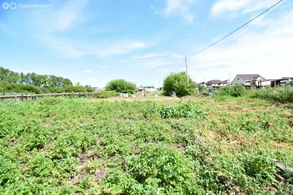 Участок в село Райманово, улица Гагарина, 87 (10 м) - Фото 2