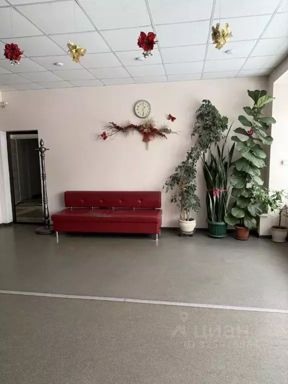 Помещение свободного назначения в Новосибирская область, Новосибирск ... - Фото 1