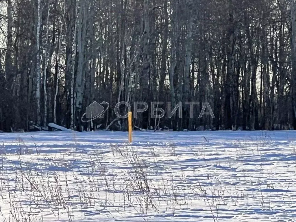 Участок в Тюменская область, Тюменский район, с. Горьковка Сибирская ... - Фото 0