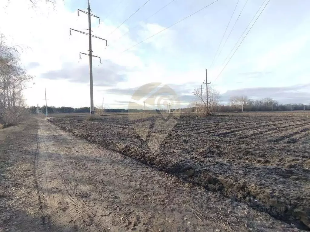 Участок в Белгородская область, Старооскольский городской округ, с. ... - Фото 1