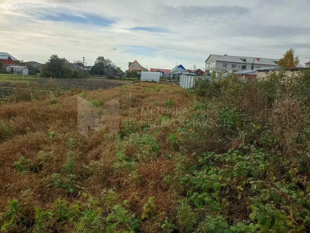 Дом в Тюменская область, Омутинский муниципальный округ, Омутинское ... - Фото 1
