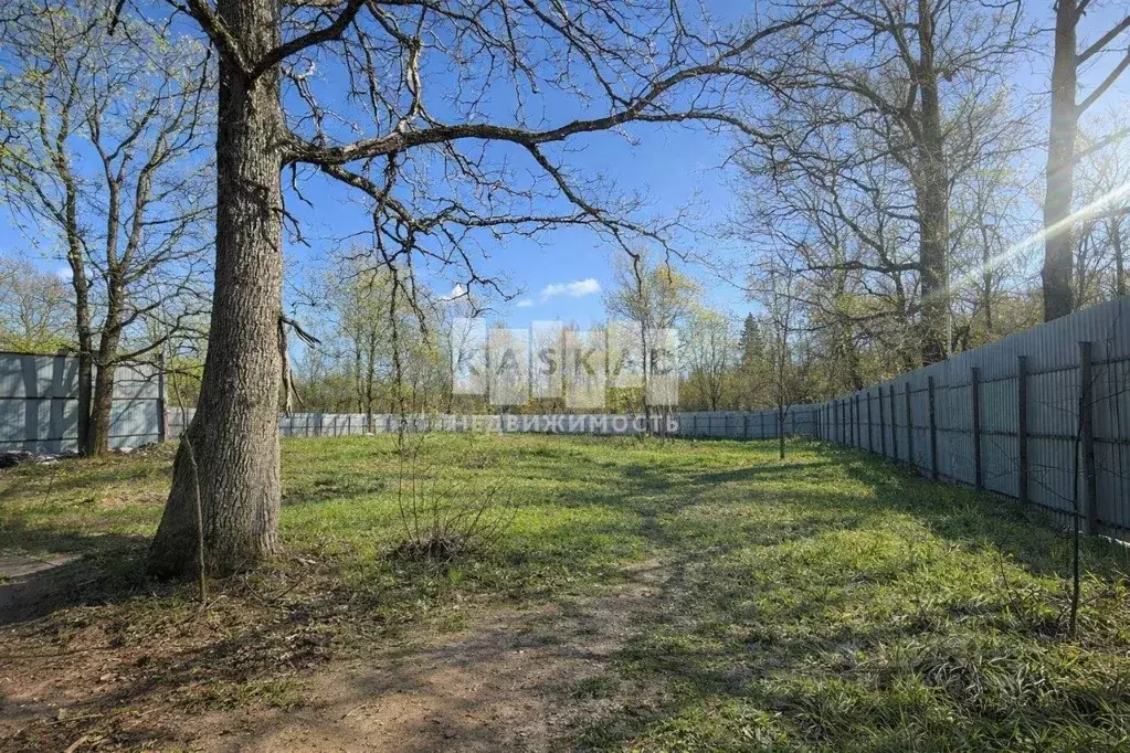 Участок в Московская область, Истра муниципальный округ, д. Котово  ... - Фото 2