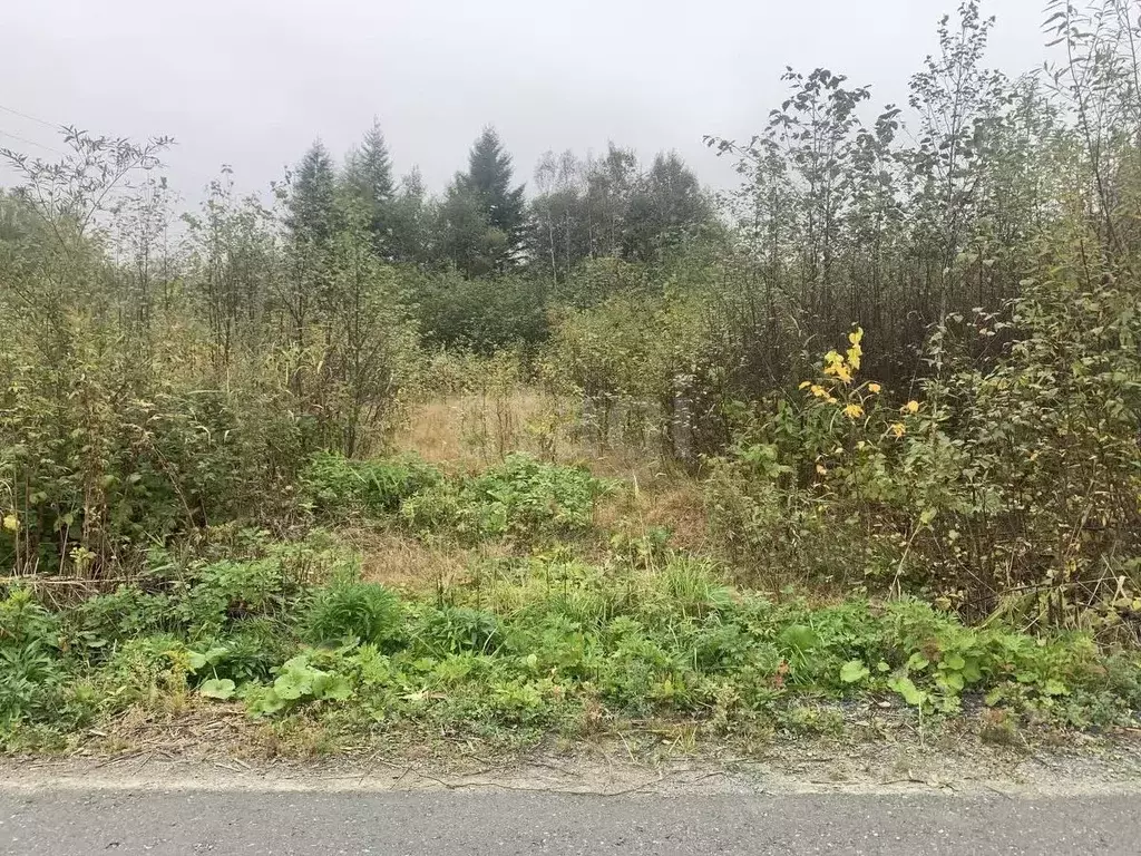 Участок в Сахалинская область, Южно-Сахалинск Эврика СНТ, 19 (10.4 ... - Фото 1